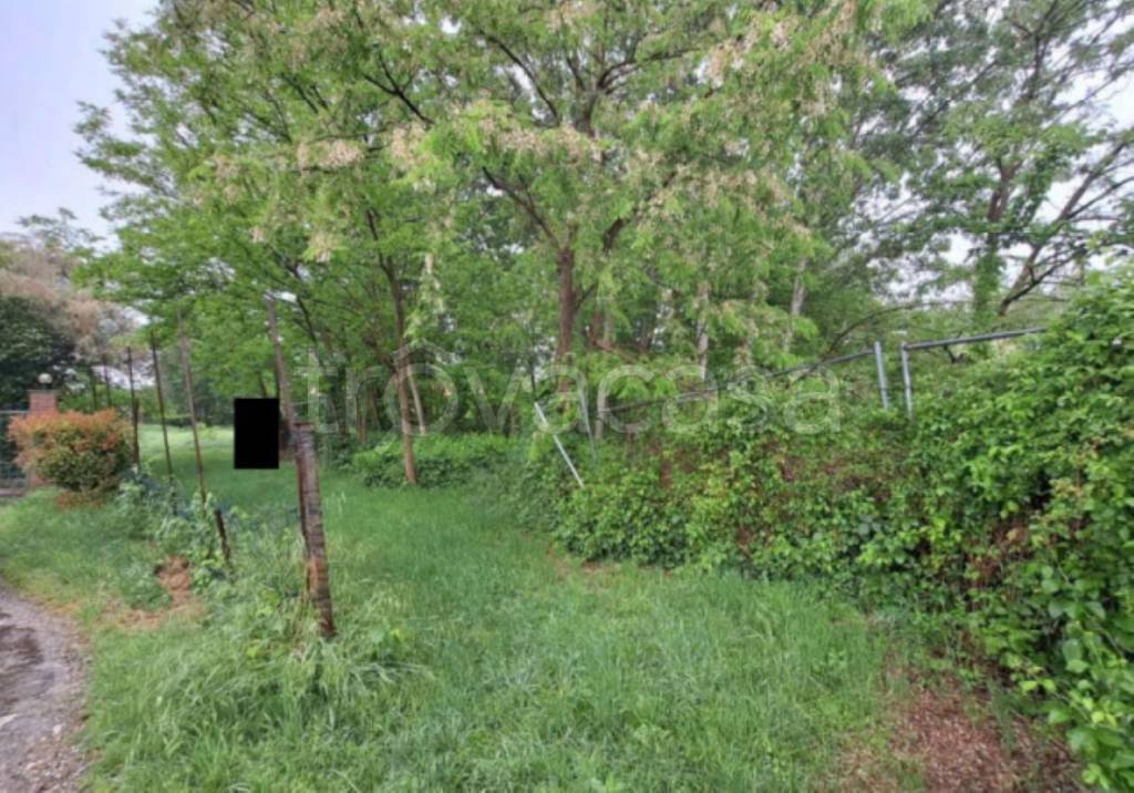 immagine annuncio 4 di 13