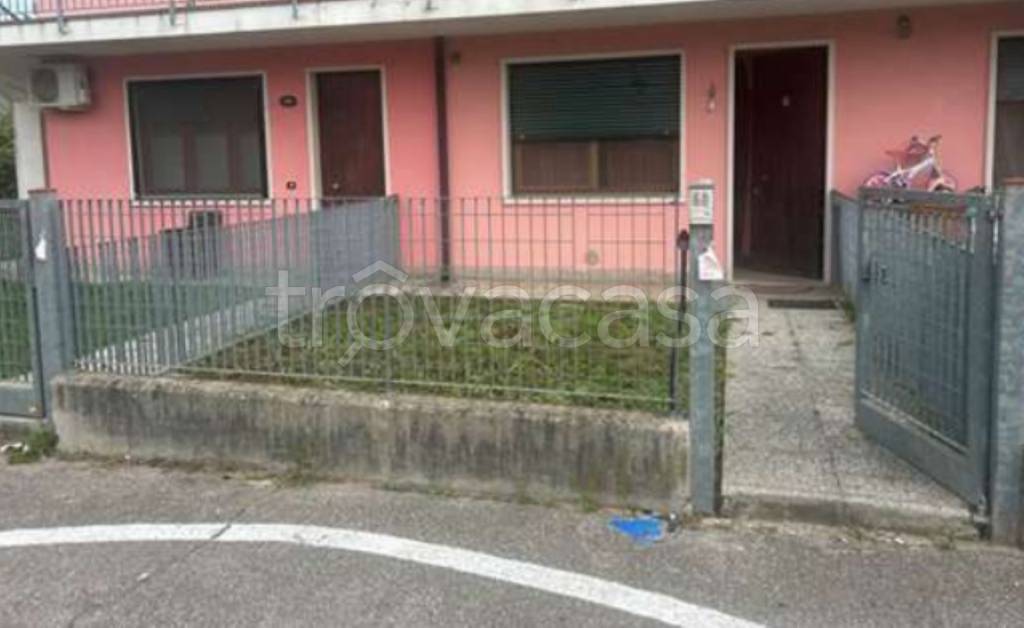 immagine annuncio 3 di 11