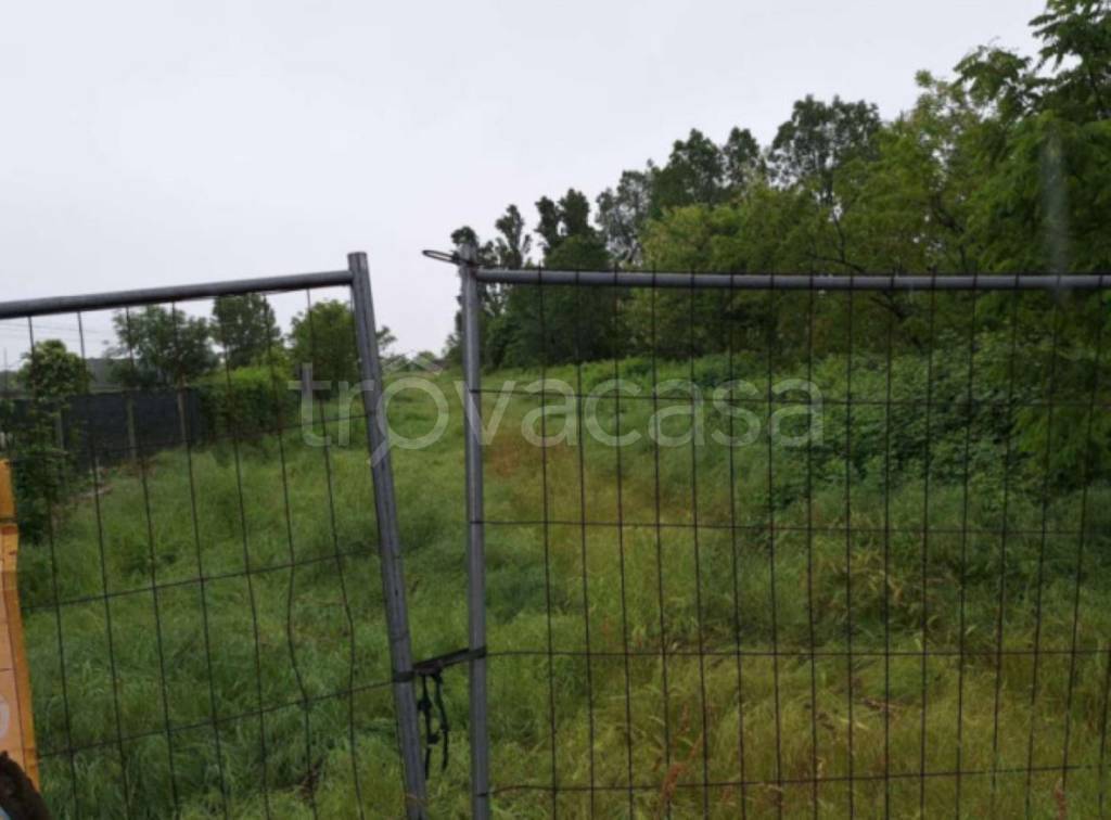 immagine annuncio 5 di 13