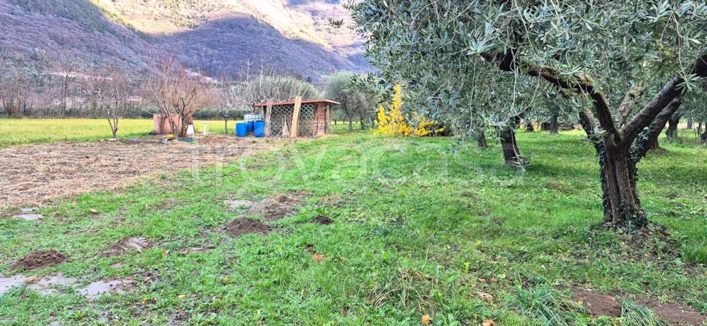 immagine annuncio 3 di 4