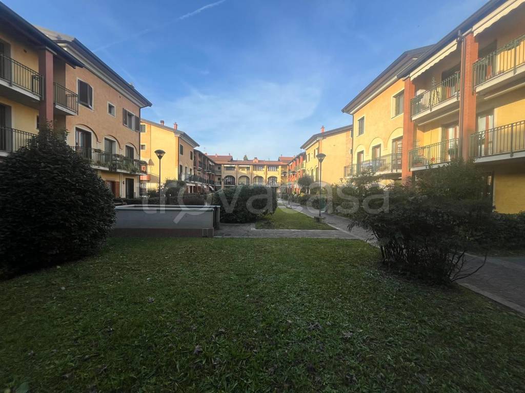 immagine annuncio 3 di 13