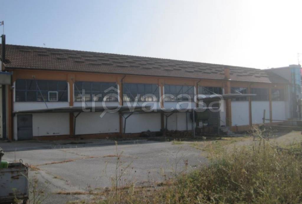 immagine annuncio 2 di 12