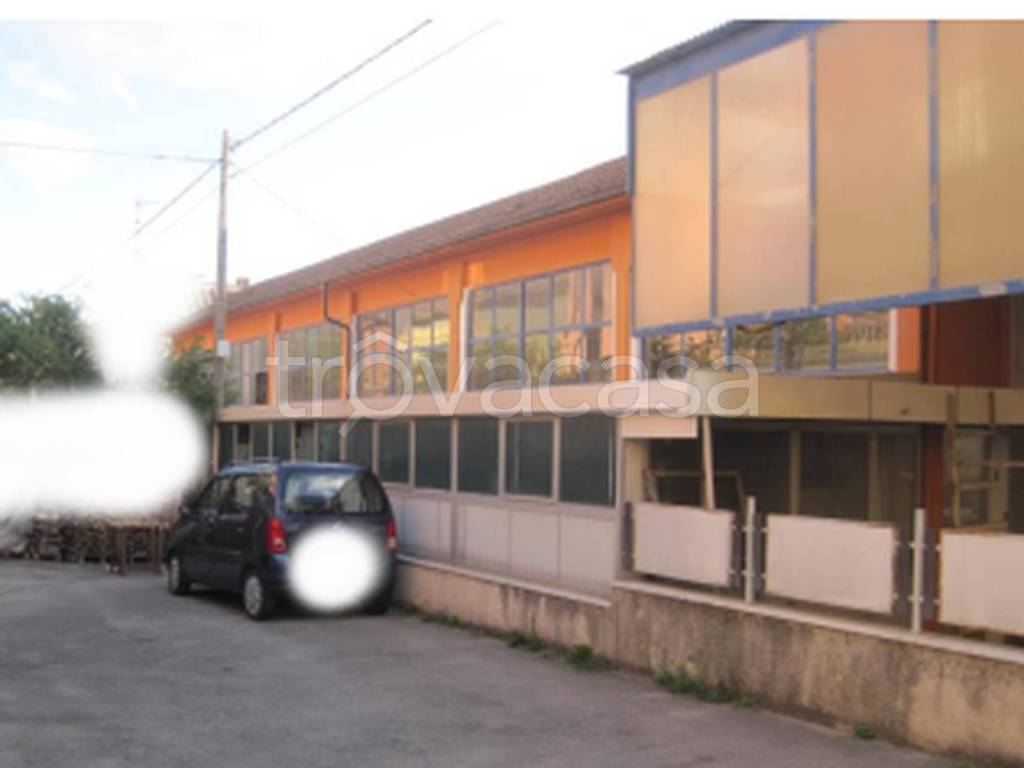 immagine annuncio 4 di 12