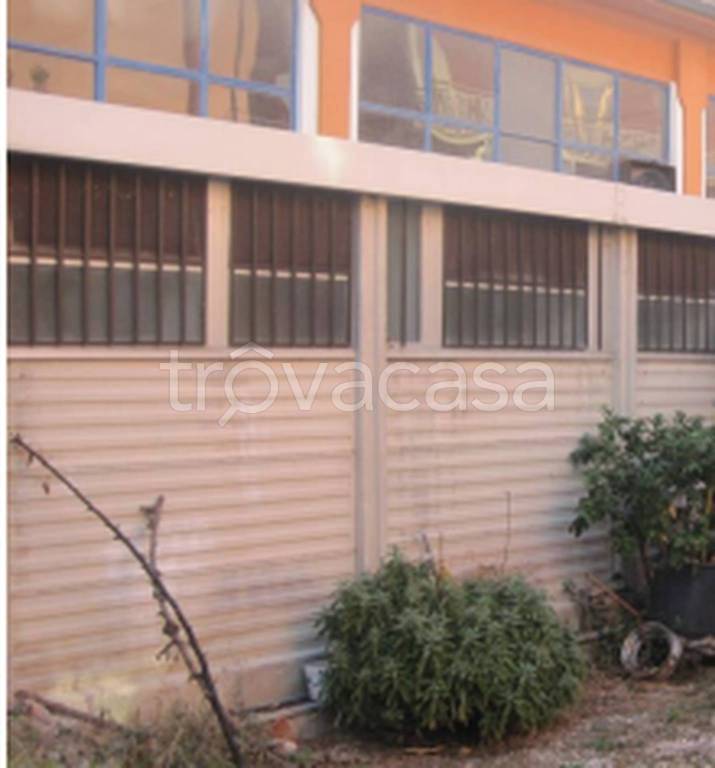 immagine annuncio 6 di 12