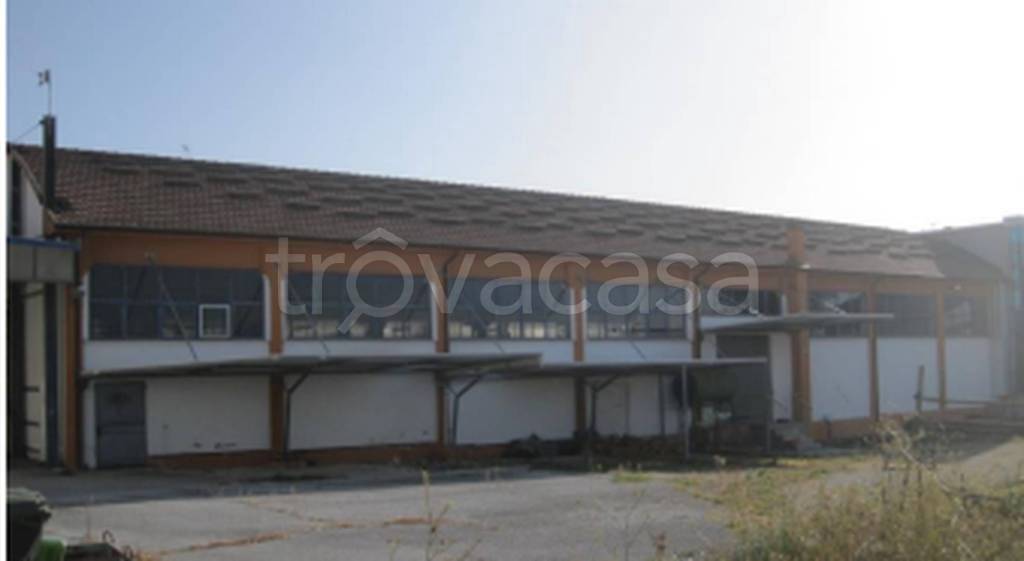 immagine annuncio 7 di 12