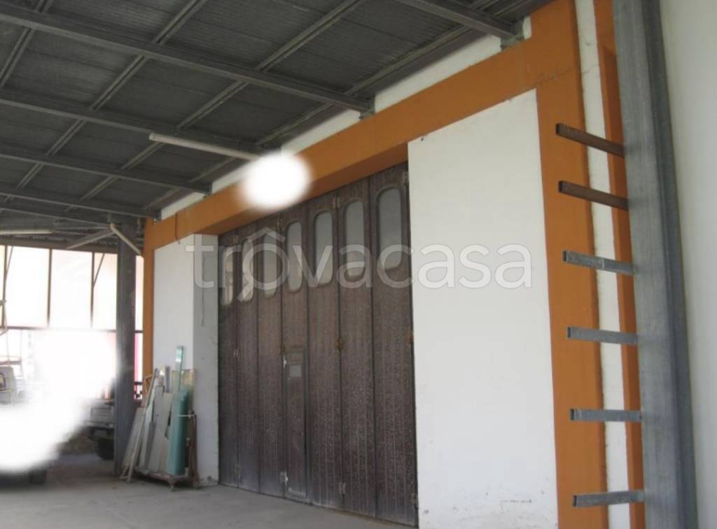 immagine annuncio 9 di 12