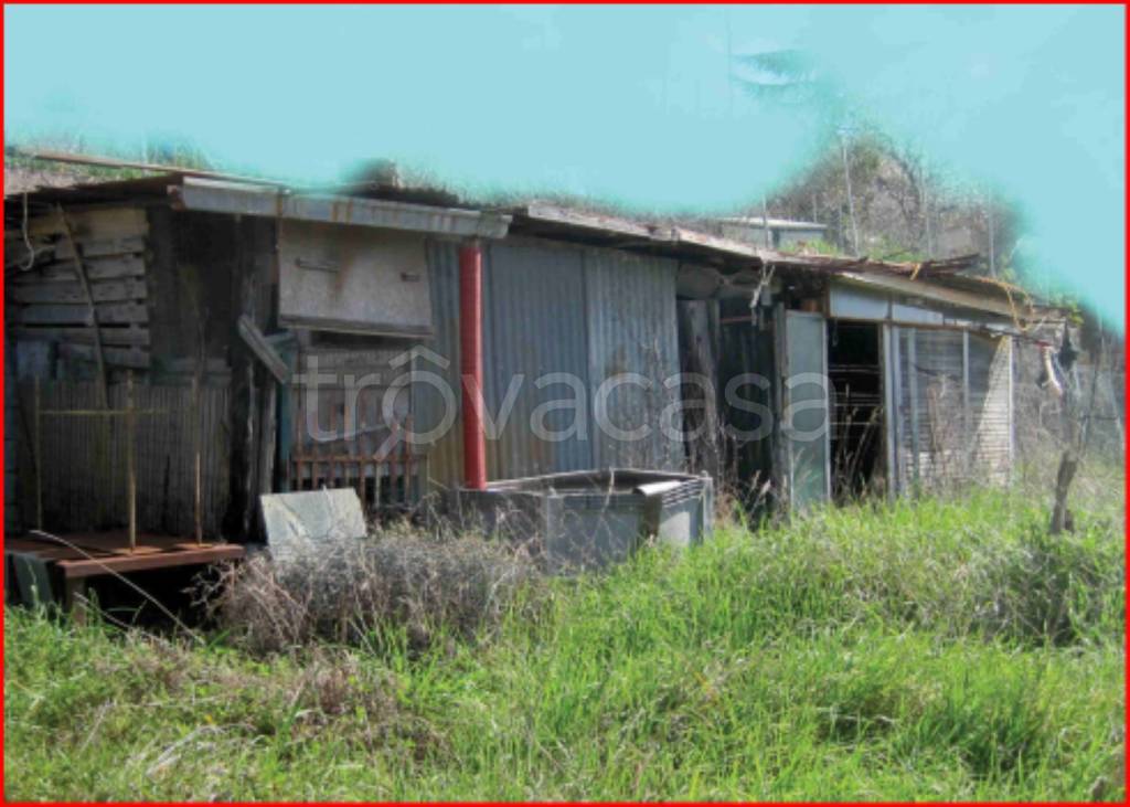 immagine annuncio 3 di 12