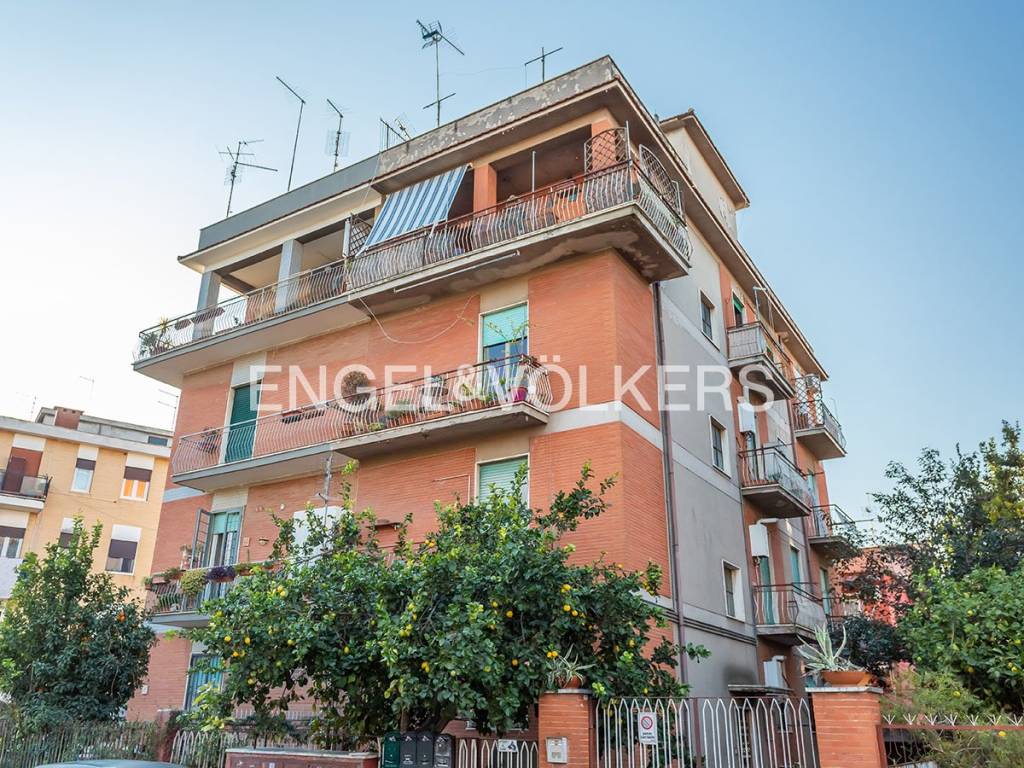 immagine annuncio 12 di 13