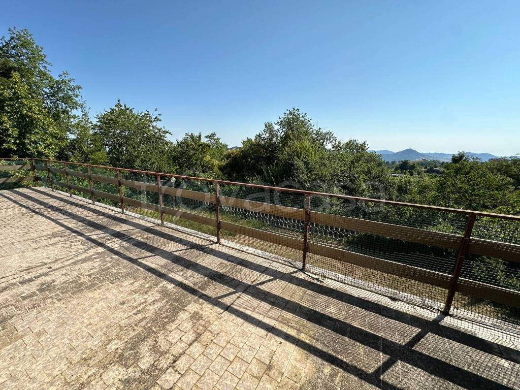 immagine annuncio 5 di 8