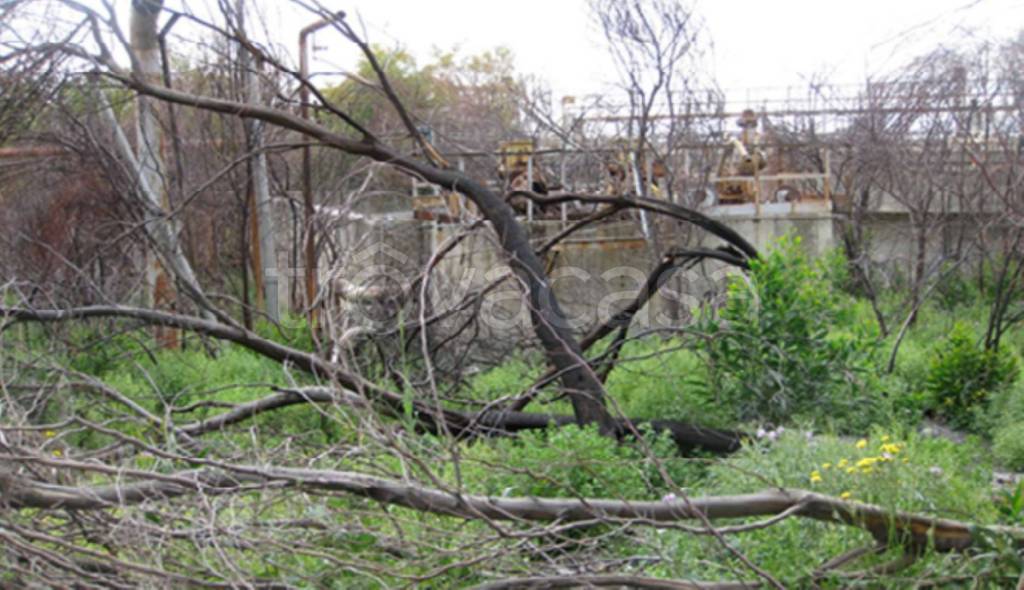 immagine annuncio 3 di 11