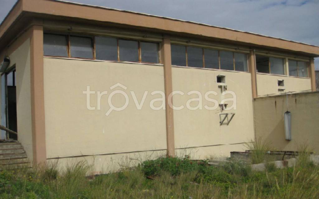 immagine annuncio 8 di 11