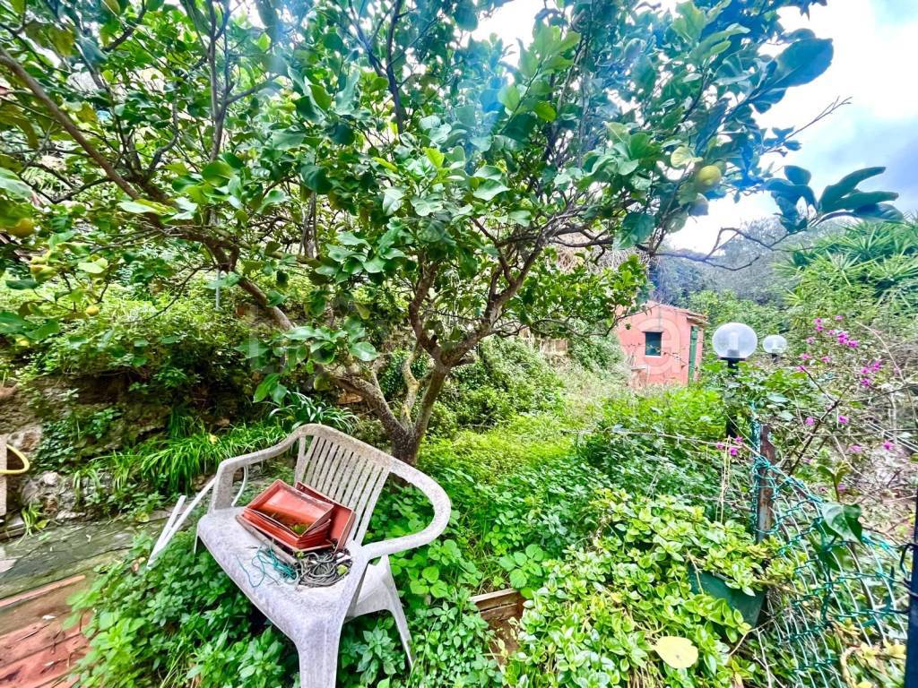 immagine annuncio 12 di 14