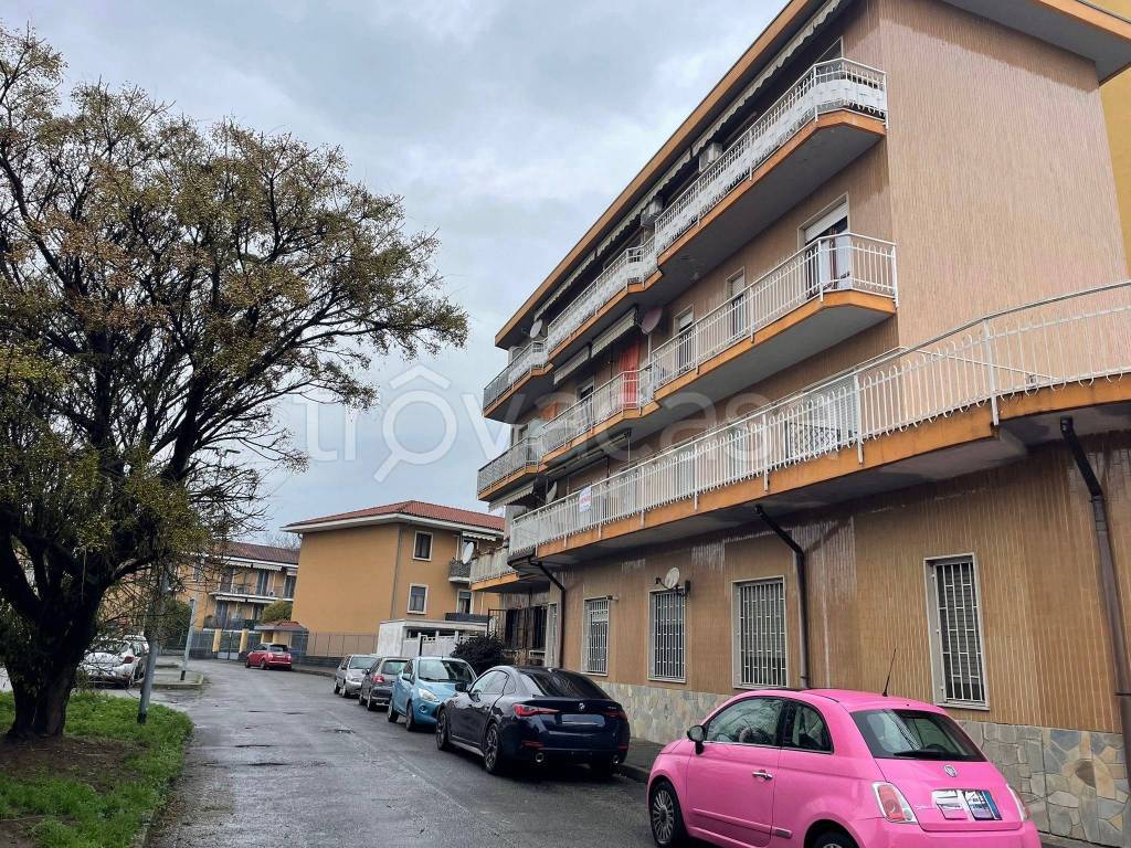 immagine annuncio 1 di 15