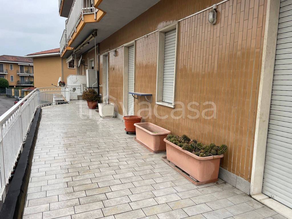 immagine annuncio 11 di 15