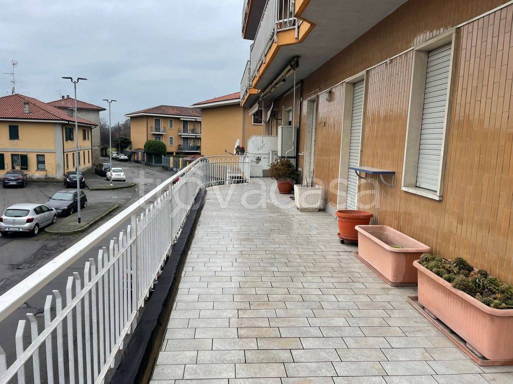 immagine annuncio 12 di 15