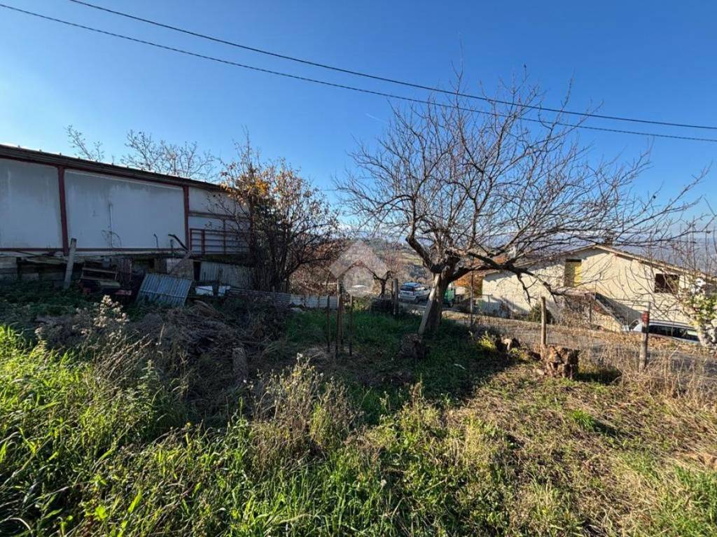 immagine annuncio 11 di 15