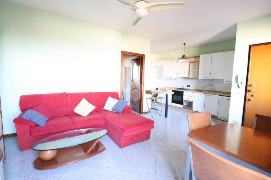 immagine annuncio 8 di 15