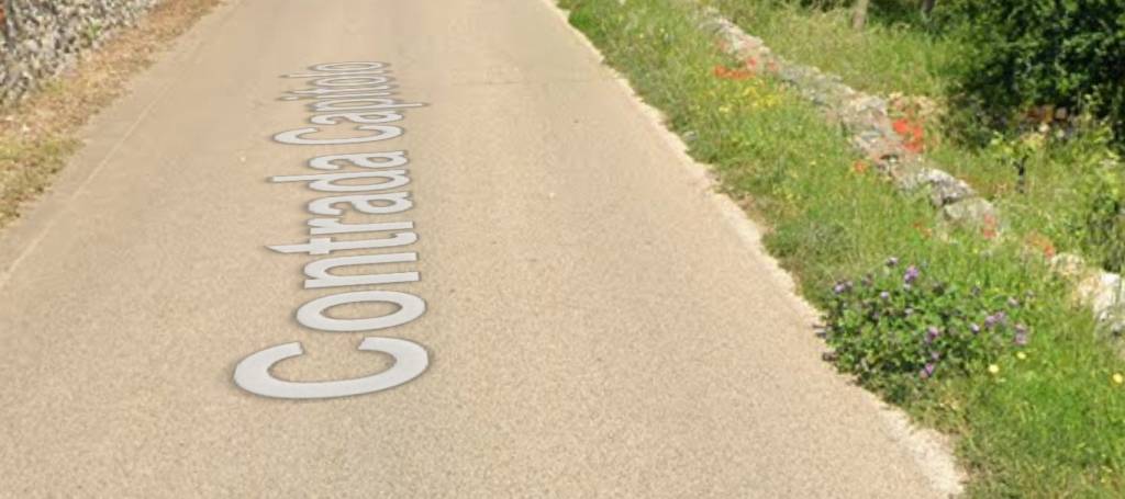 immagine annuncio 3 di 11