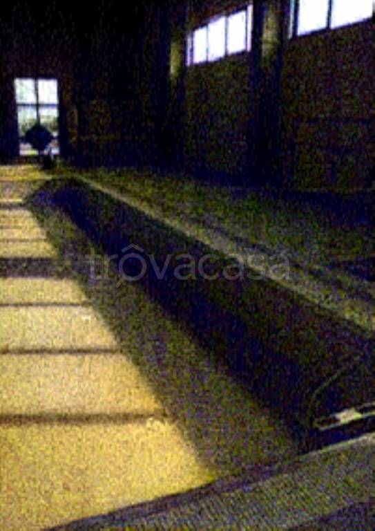 immagine annuncio 9 di 13