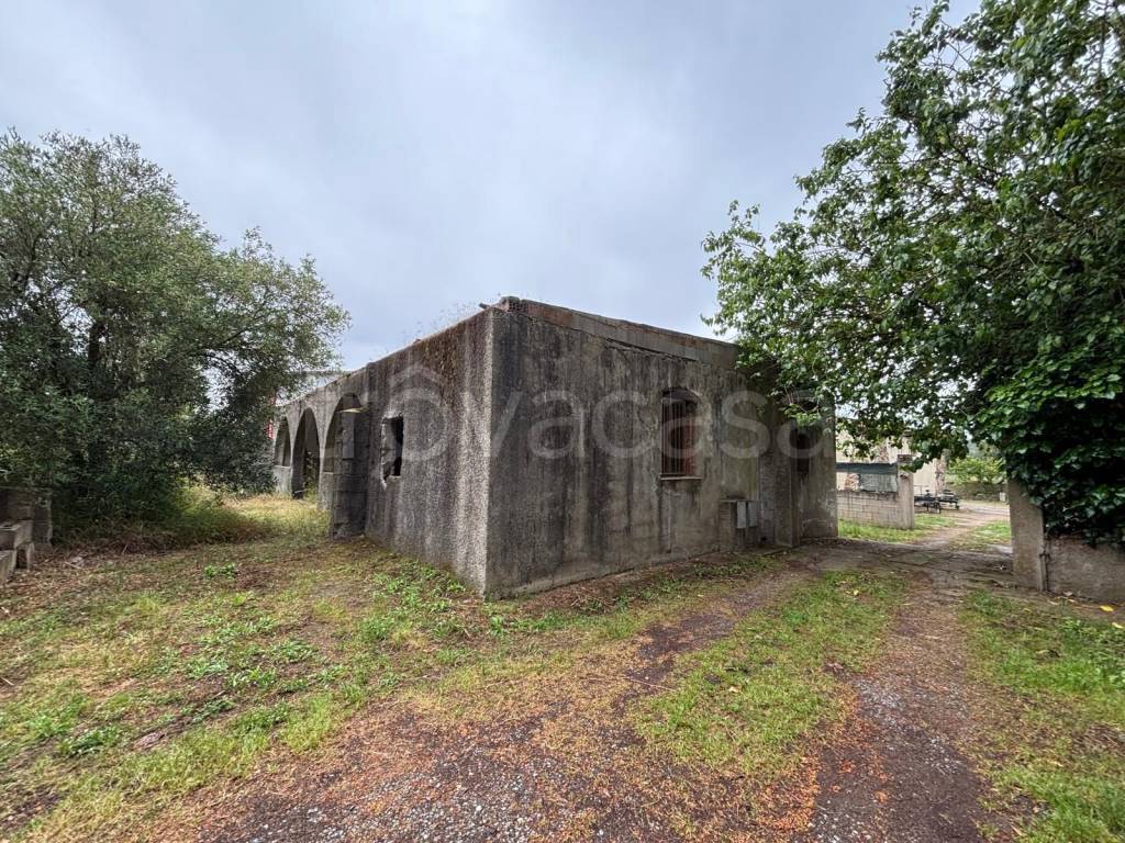 immagine annuncio 1 di 11