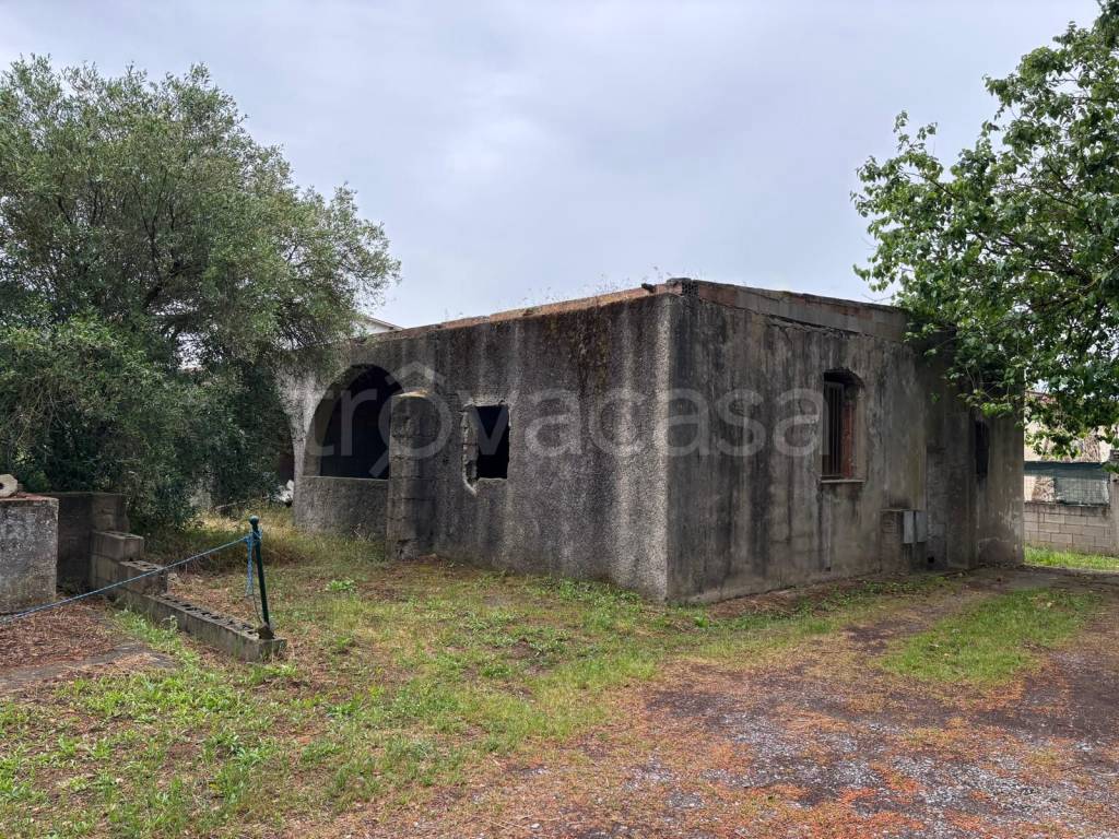 immagine annuncio 4 di 11