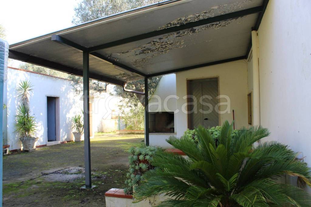 immagine annuncio 6 di 15