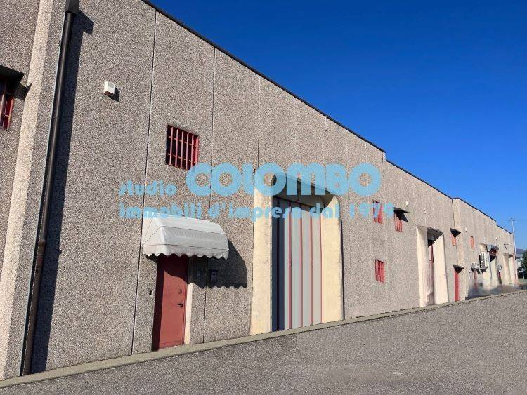 immagine annuncio 7 di 11