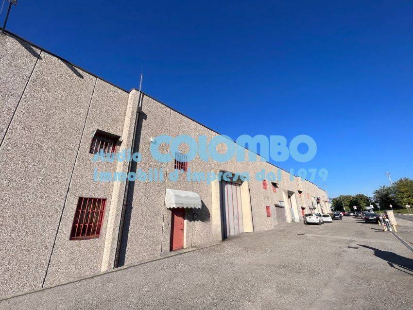 immagine annuncio 9 di 11