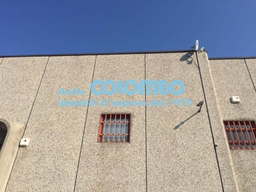 immagine annuncio 10 di 11