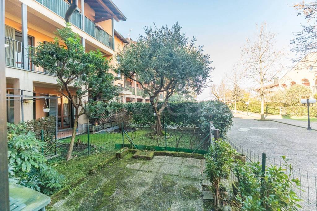 immagine annuncio 2 di 15