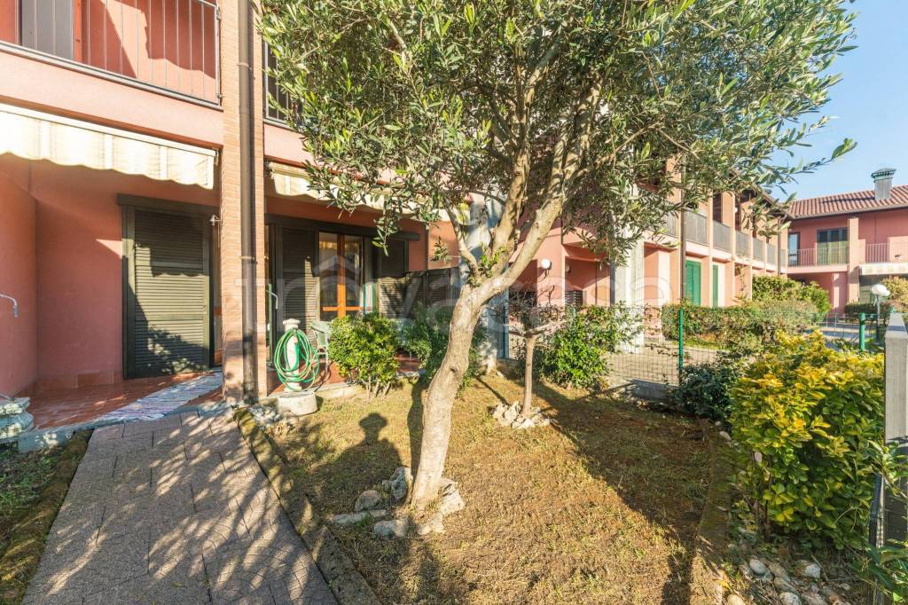 immagine annuncio 1 di 15