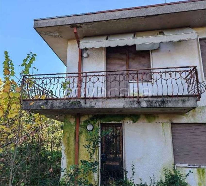 immagine annuncio 2 di 12