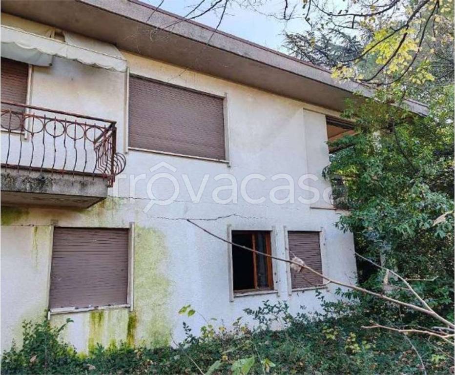 immagine annuncio 3 di 12