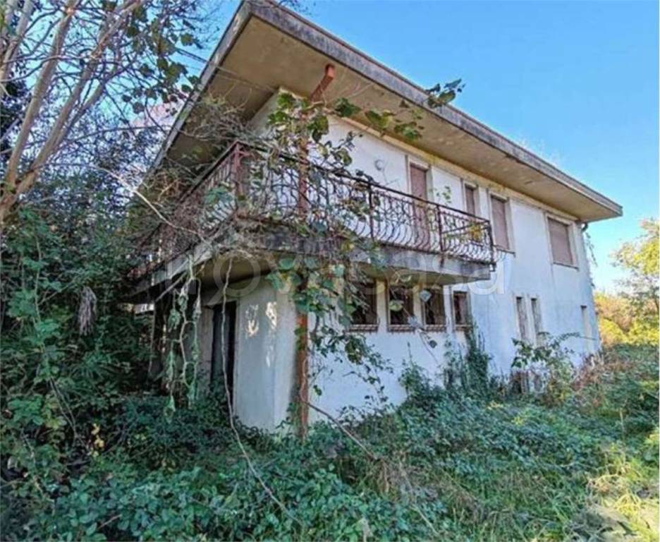 immagine annuncio 5 di 12