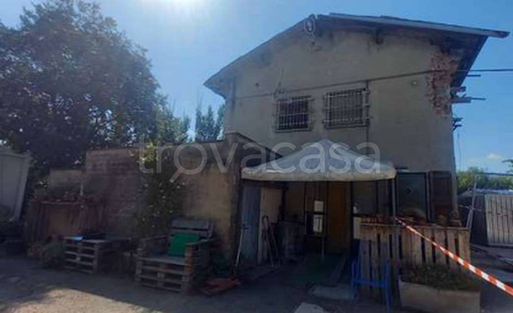 immagine annuncio 6 di 11