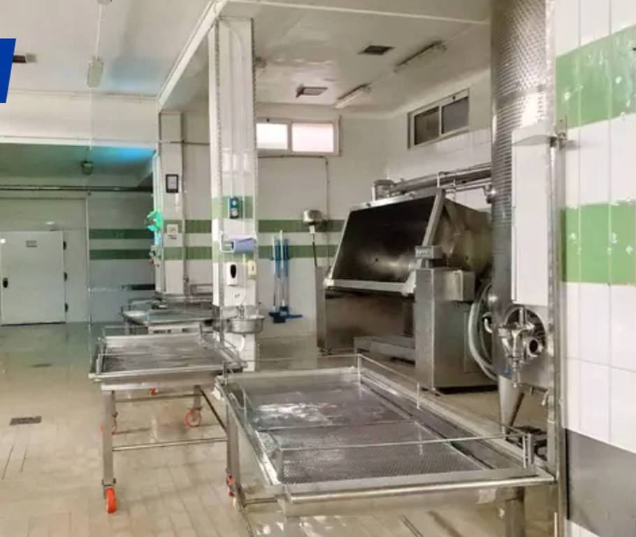 immagine annuncio 2 di 12