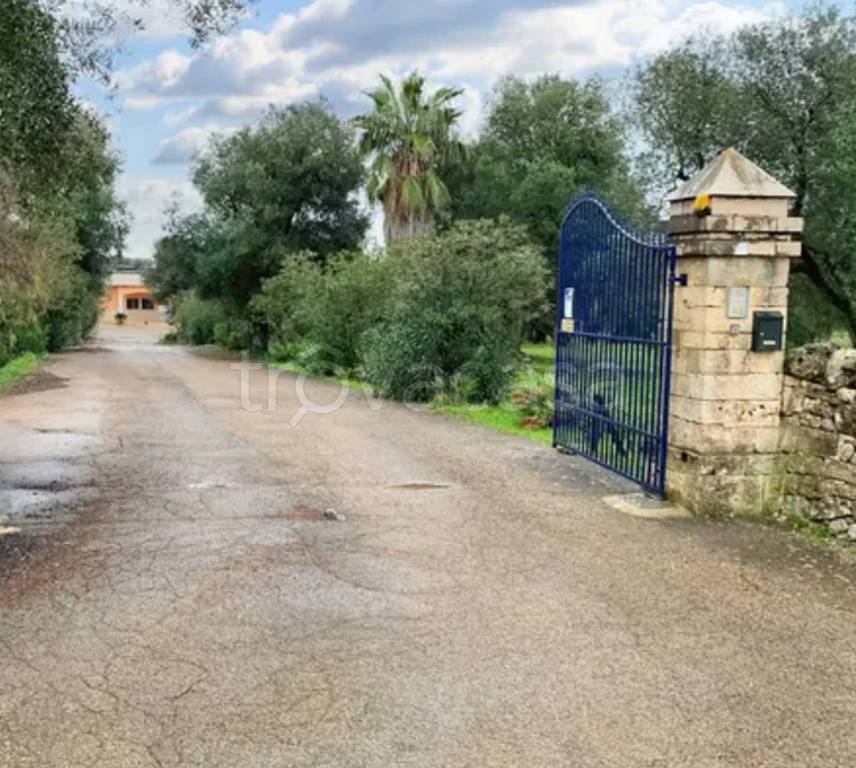 immagine annuncio 7 di 12