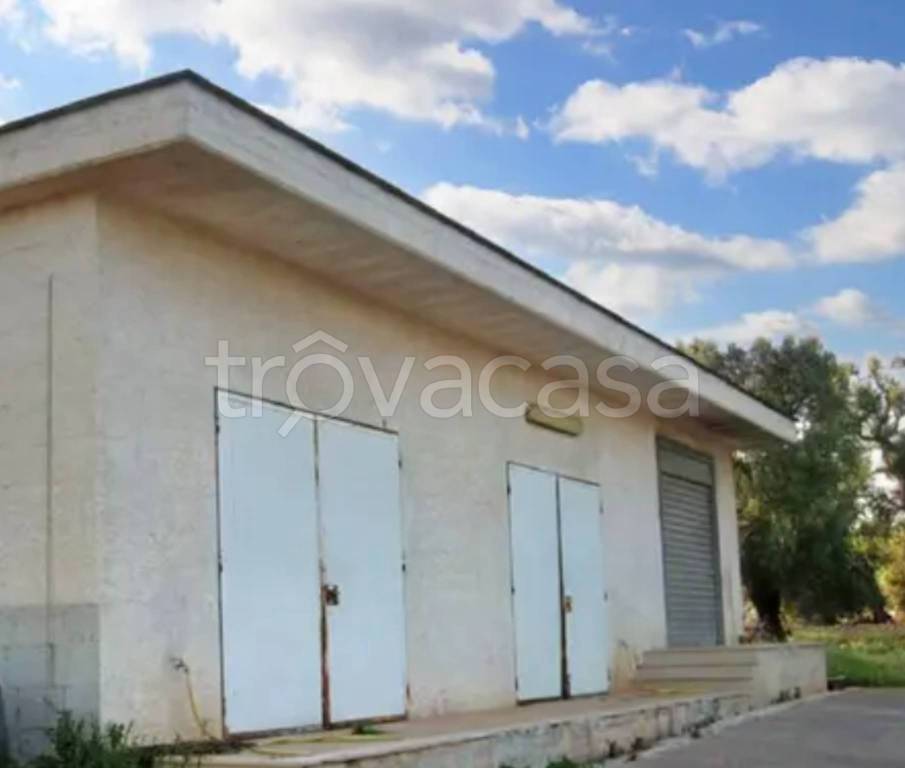 immagine annuncio 9 di 12