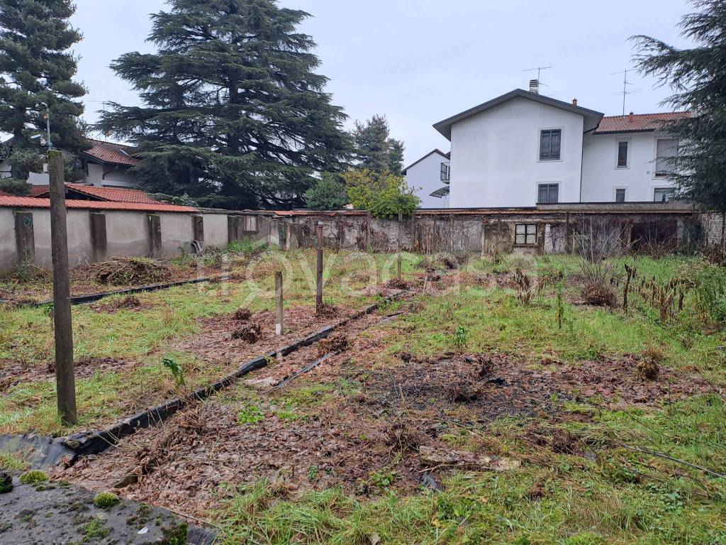 immagine annuncio 5 di 6