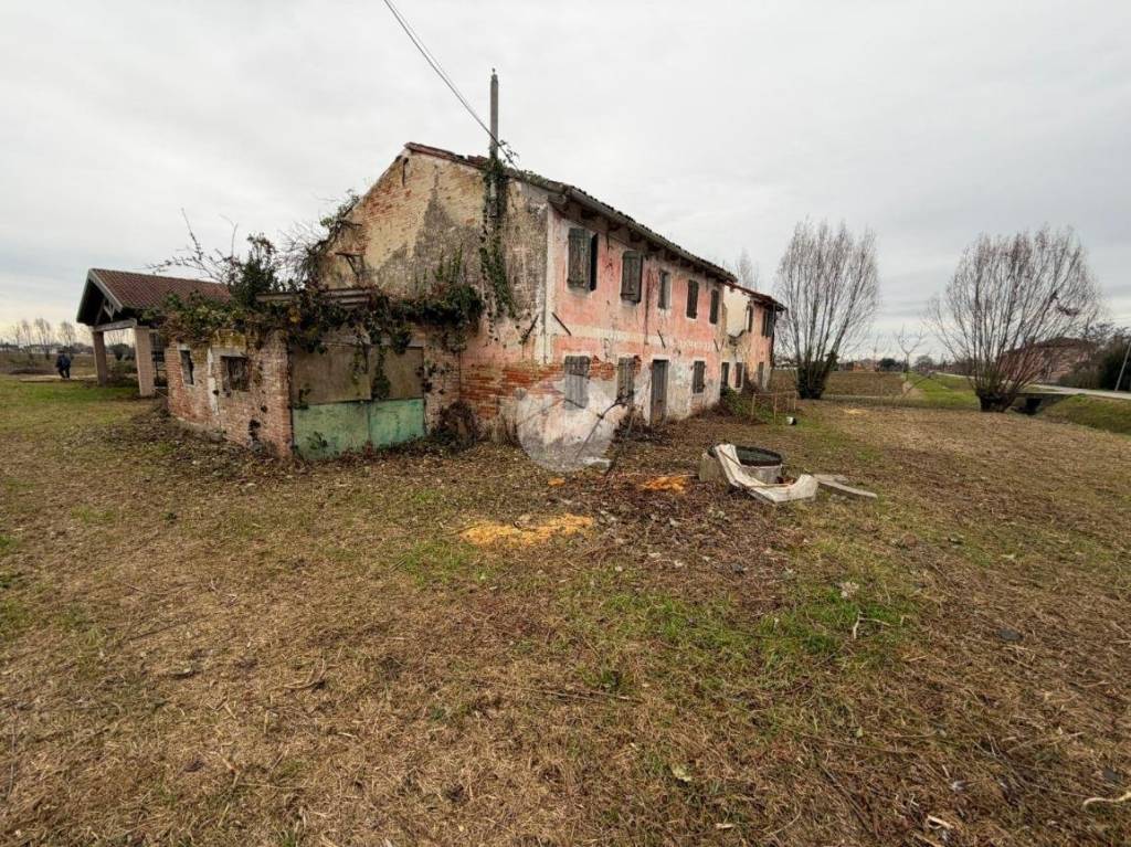 immagine annuncio 4 di 9