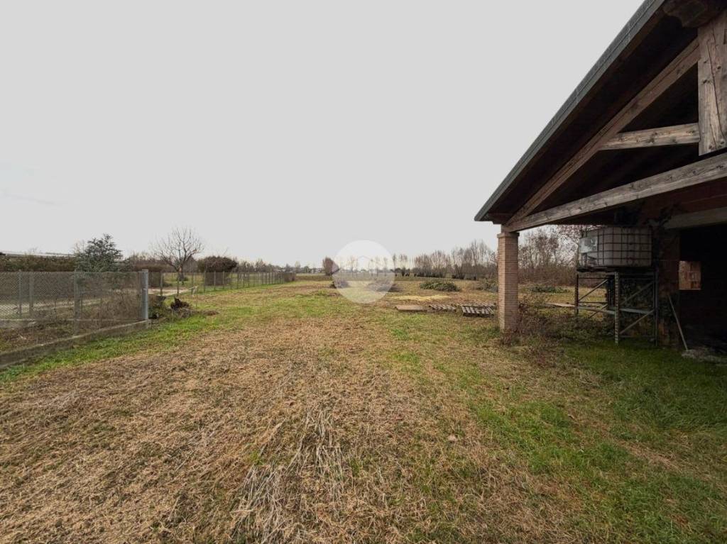 immagine annuncio 5 di 9