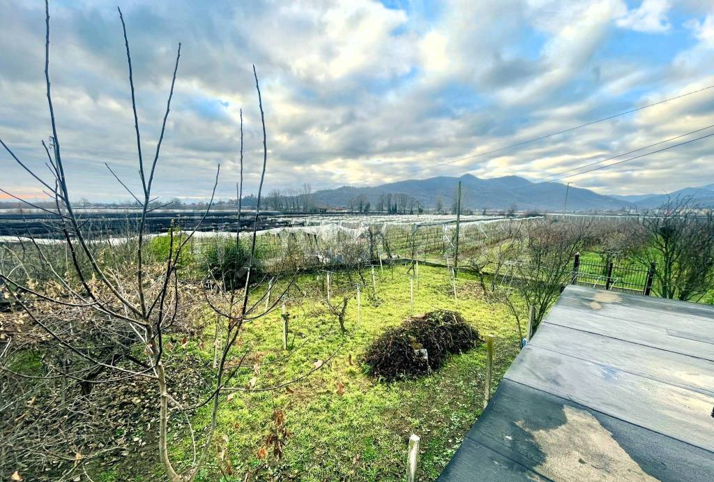 immagine annuncio 9 di 13