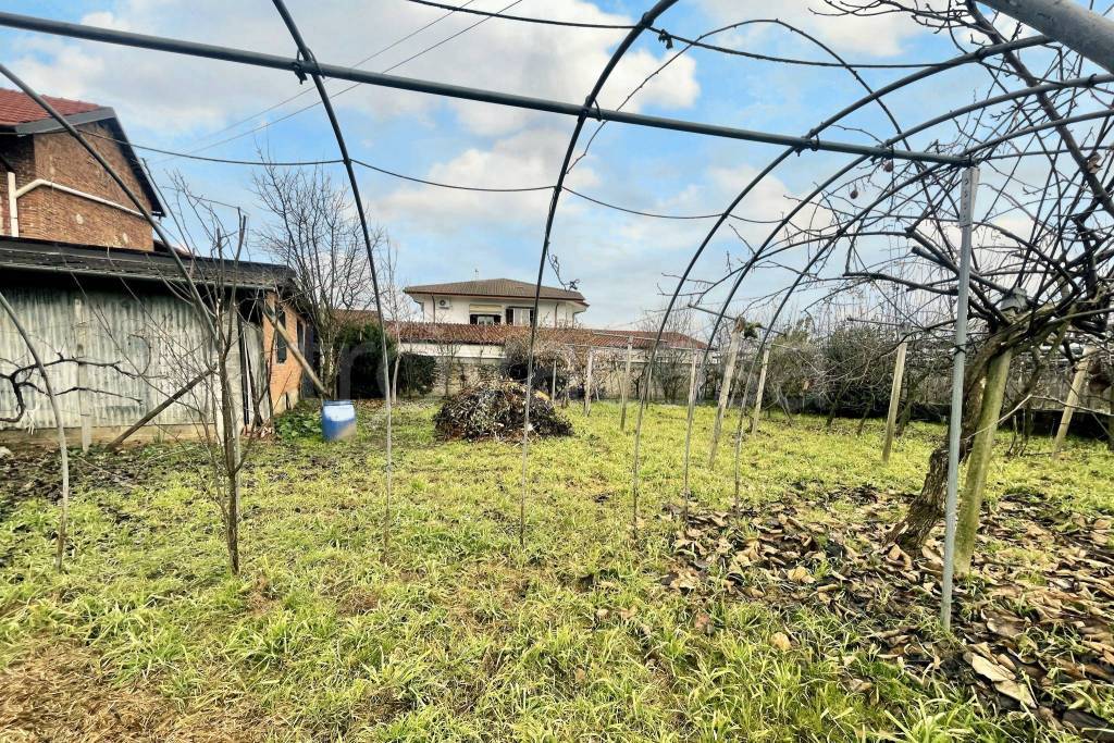 immagine annuncio 10 di 13