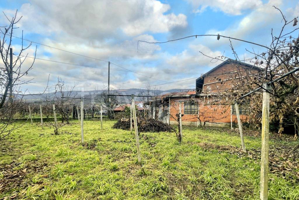 immagine annuncio 12 di 13