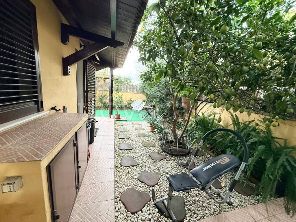 immagine annuncio 11 di 15