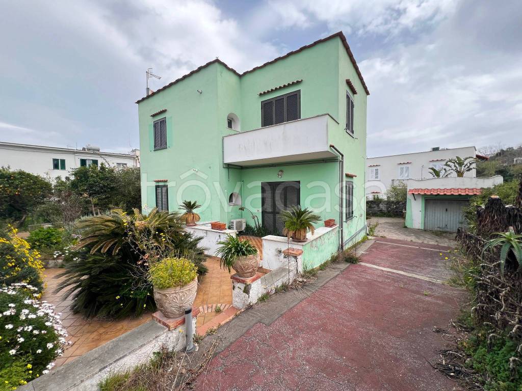 immagine annuncio 3 di 7