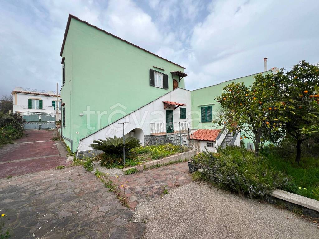 immagine annuncio 5 di 7