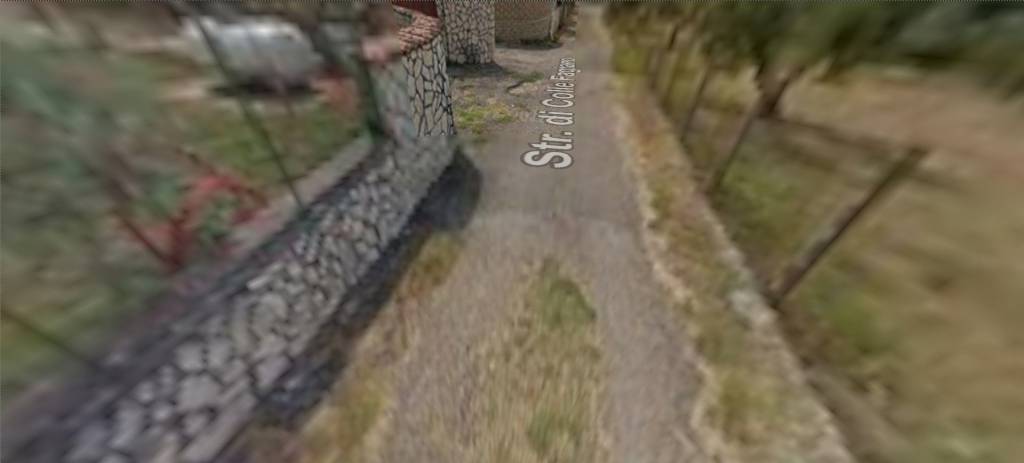 immagine annuncio 12 di 15