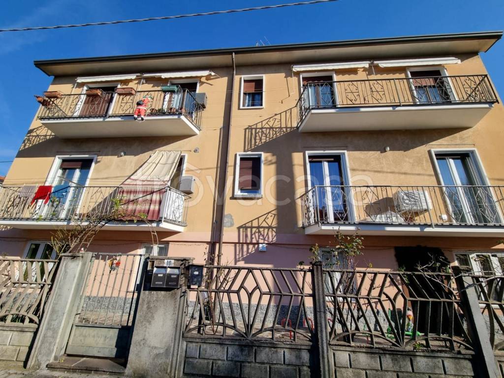 immagine annuncio 3 di 15