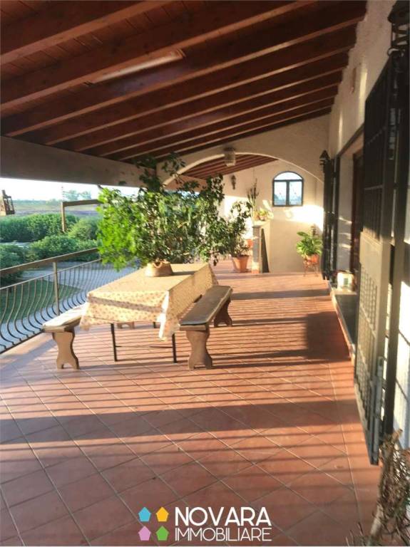 immagine annuncio 11 di 14